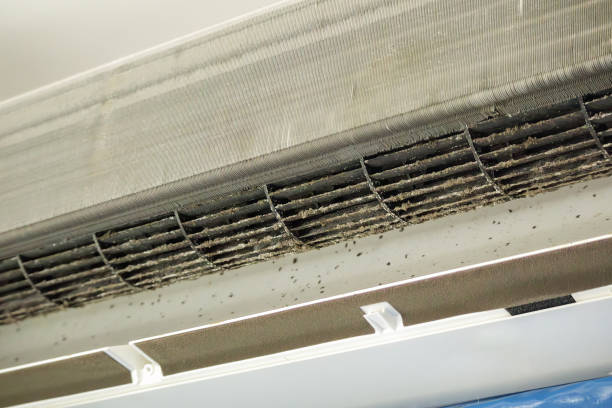 Best Home Air Vent Cleaning  in Tinton Falls, NJ